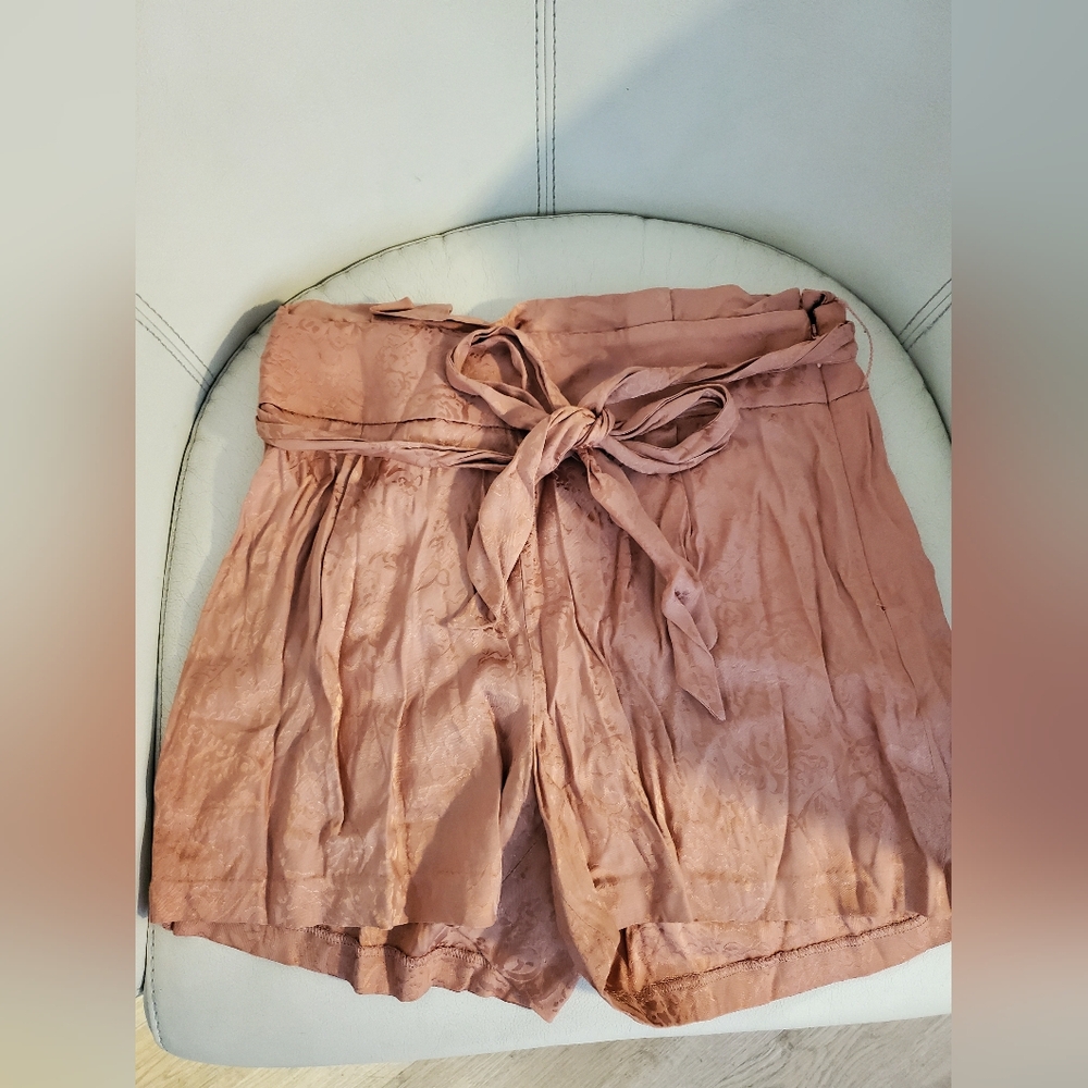 Express Dressy Shorts